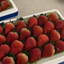奶油草莓，安徽合肥，草莓颜色好口感甜老少皆宜欢迎购买