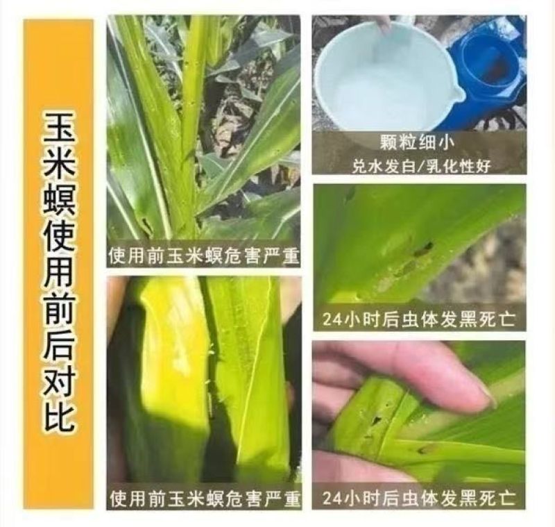 甲维虫螨腈吊丝虫甜菜夜蛾玉米螟抗性青虫的克星