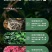 生物有机肥深层疏松土壤破除板结促进根系生长促进抗病