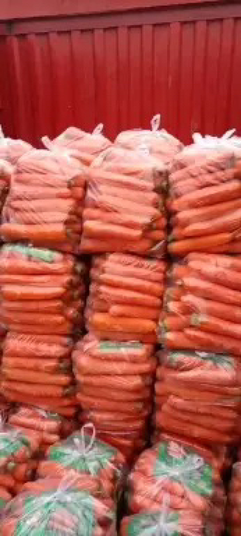 【荐】胡萝卜河南精品胡萝卜产地直供一手货源量大从优