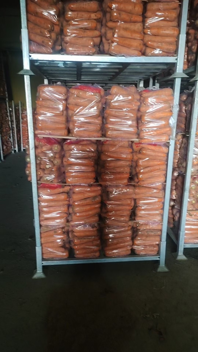 【荐】胡萝卜河南精品胡萝卜产地直供一手货源量大从优