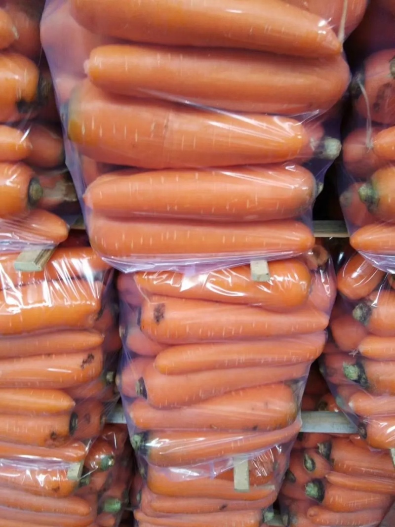 【荐】胡萝卜河南精品胡萝卜产地直供一手货源量大从优