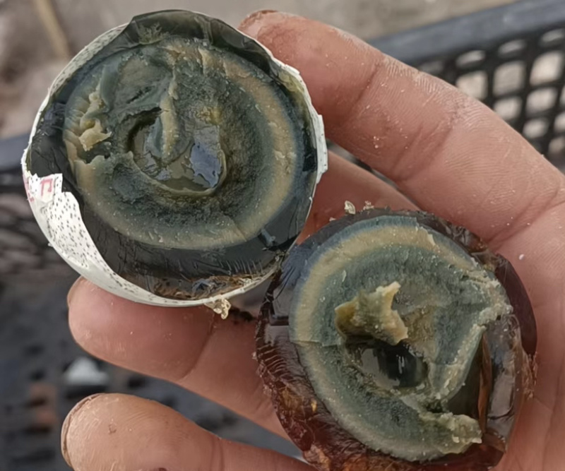 湖北松花蛋，无铅松花蛋，常年供货，欢迎各位老板电话联系~