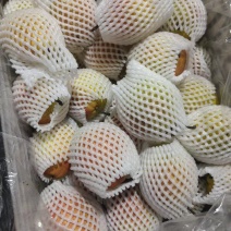新梨七好看好质量