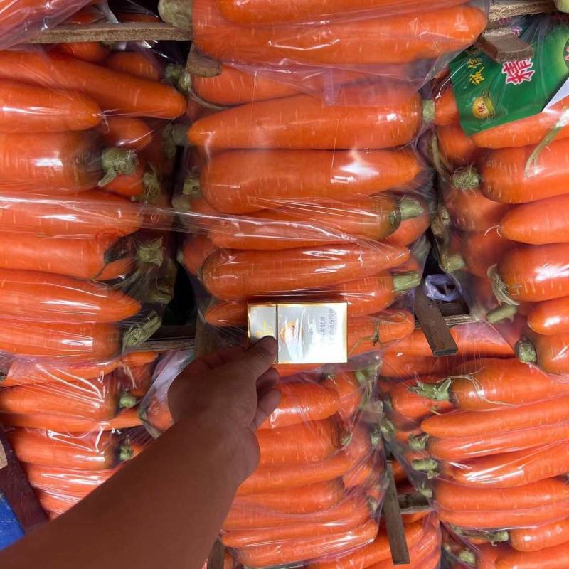 【牛商推荐】开封精品红萝卜大量有货，三红萝卜