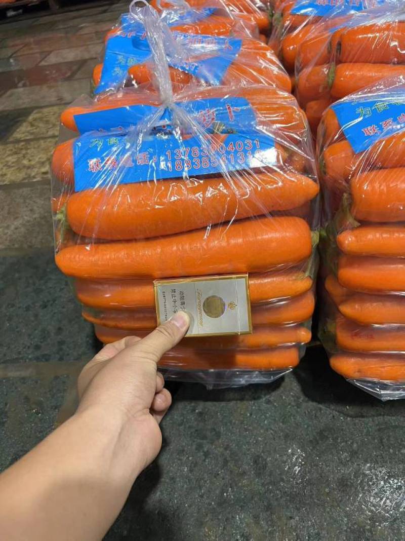 【牛商推荐】开封通许县基地红萝卜