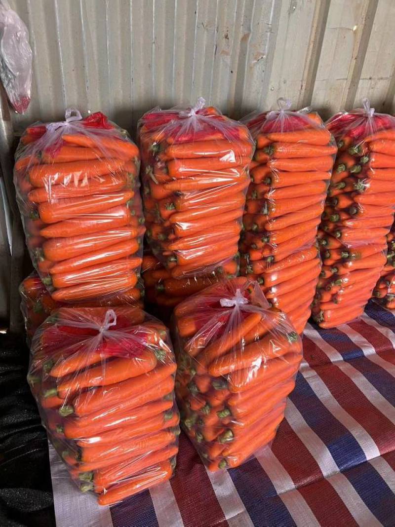 【牛商推荐】开封通许县基地红萝卜