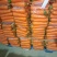 【牛商推荐】开封通许县基地红萝卜