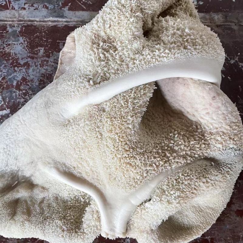黄牛牛肚！江苏连云港厂家直发量大从优欢迎电联采购