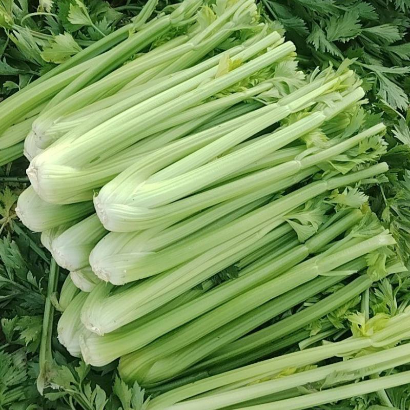 精品西芹