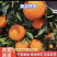 湖北秭归脐橙，橙子果面光滑，果色橙红，果质脆嫩化渣