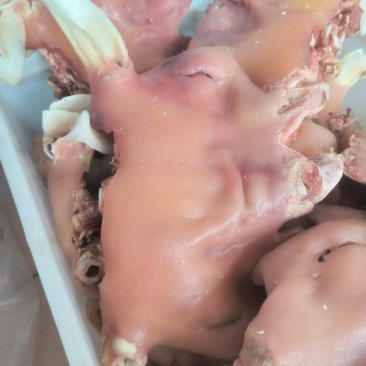《精品》小牛头肉，小牛肚，小牛蹄，全套小牛杂，工厂货源