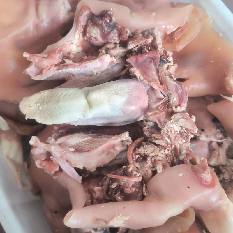 《精品》小牛头肉，小牛肚，小牛蹄，全套小牛杂，工厂货源