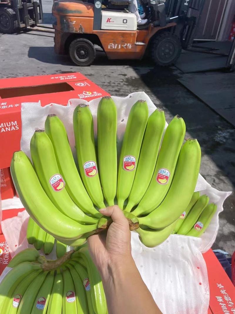 常年供应:菲律宾特价精品二级蕉，净重27斤，保质保量。