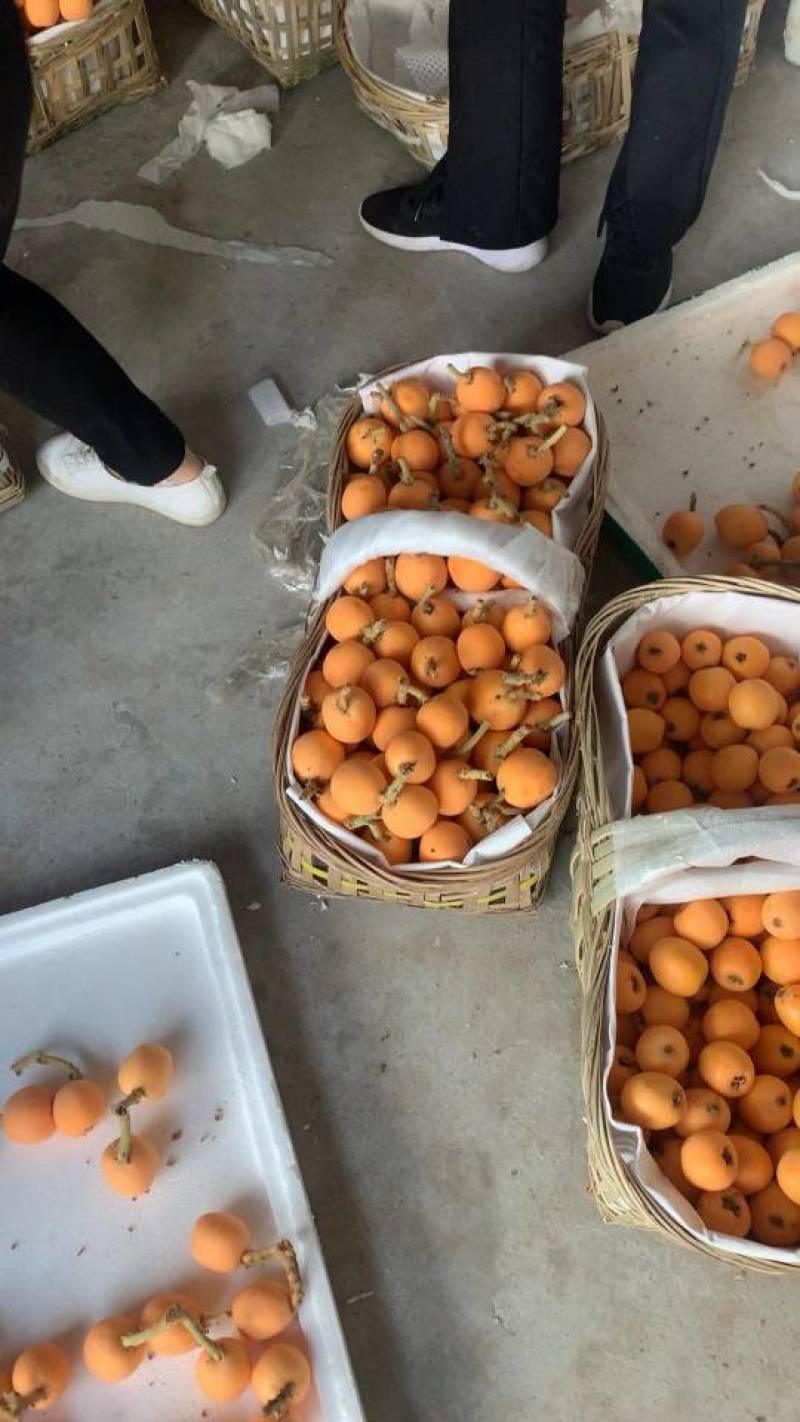 每年12月至第二年6月