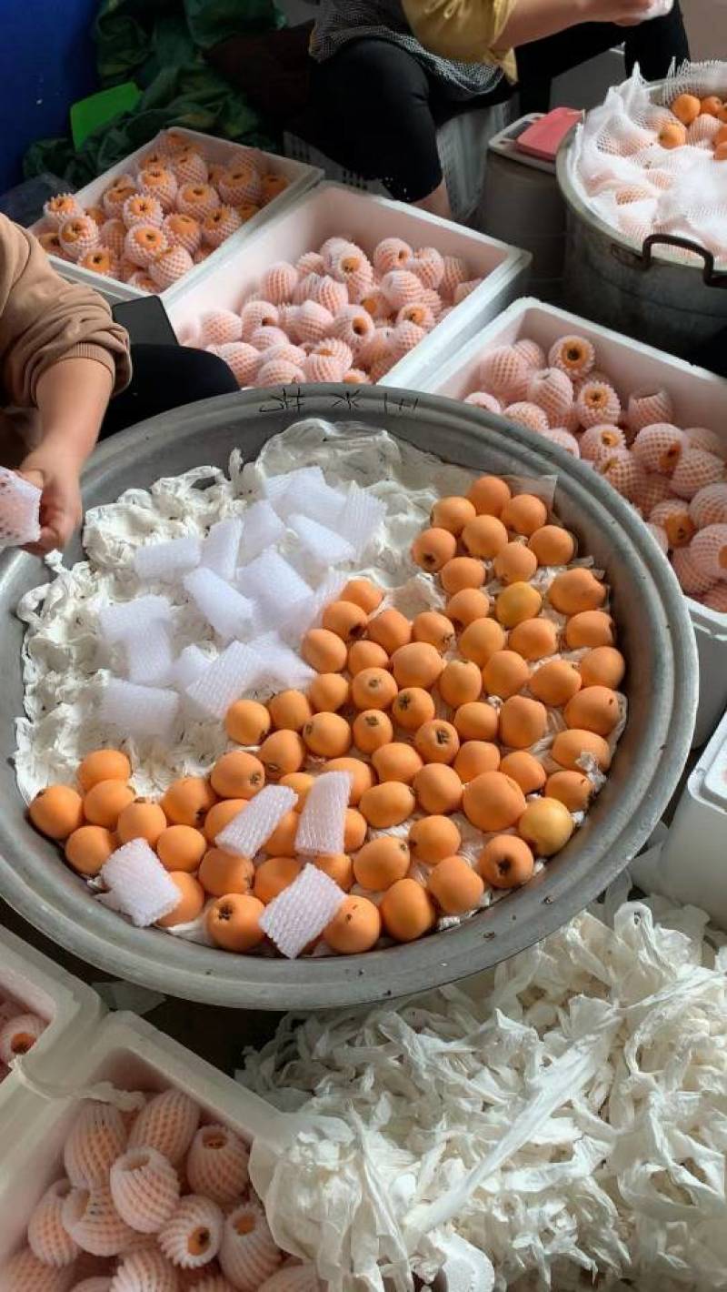 每年12月至第二年6月