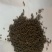 吴茱萸中花小花中药材,吴茱萸,全国包邮,量大从优