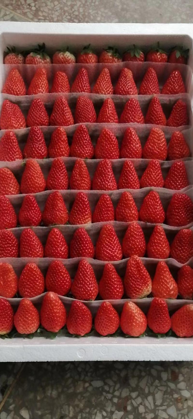 山东济南章丘区草莓大量上市中专业代办代发诚信经营