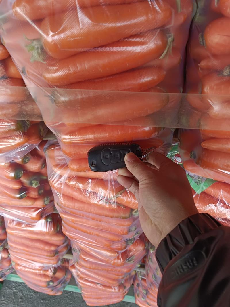 胡萝卜精品，水洗小条各种规格包装现货，全年供应