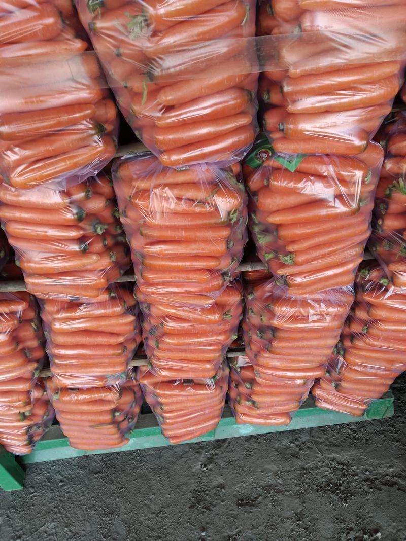 胡萝卜精品，水洗小条各种规格包装现货，全年供应