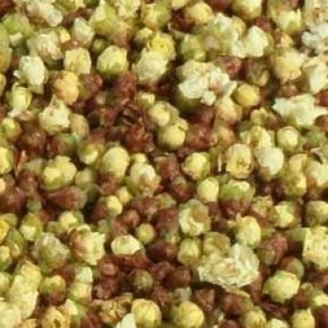 白梅花干货白梅花茶