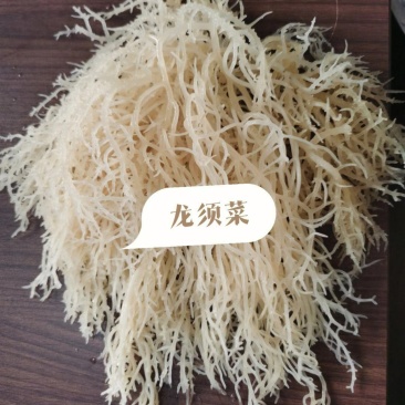 龙须菜