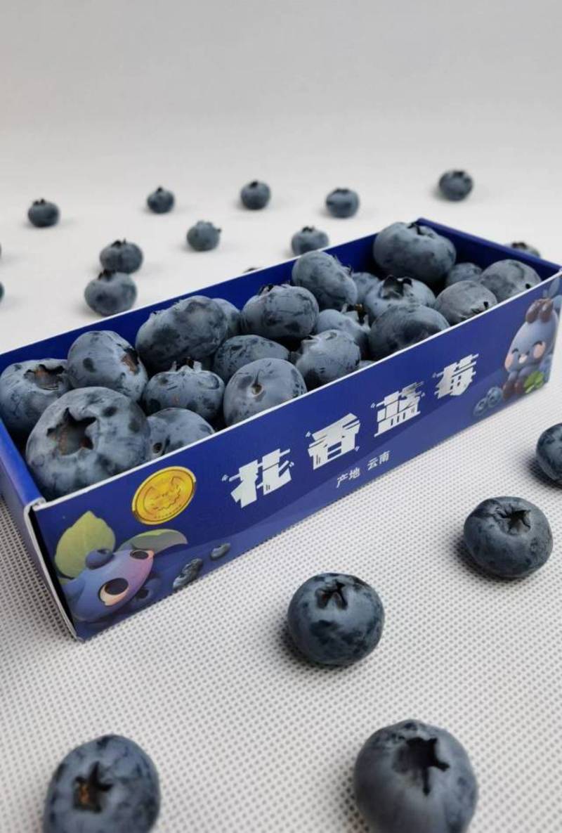 云南蓝莓，新鲜蓝莓，品种L25,基地直采，花香蓝莓