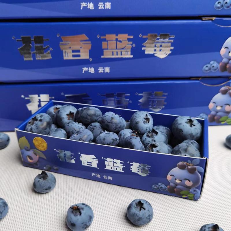 云南蓝莓，新鲜蓝莓，品种L25,基地直采，花香蓝莓