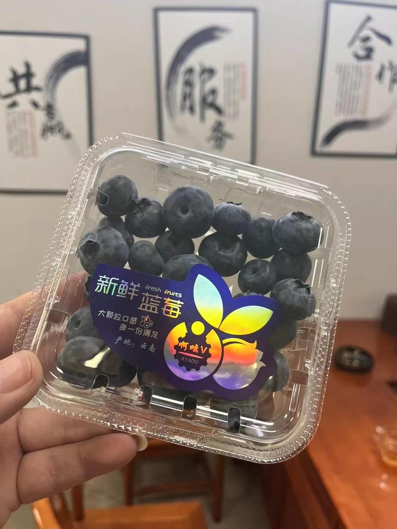 云南新鲜蓝莓，L25,F6,L11,优瑞卡，大量上市，
