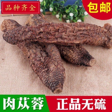 肉苁蓉整根切片新疆阿拉善泡水泡酒肉丛蓉个包邮包邮