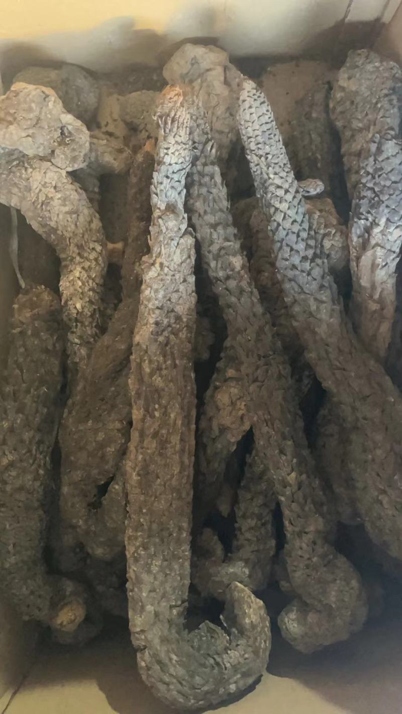 肉苁蓉整根切片新疆阿拉善泡水泡酒肉丛蓉个包邮包邮