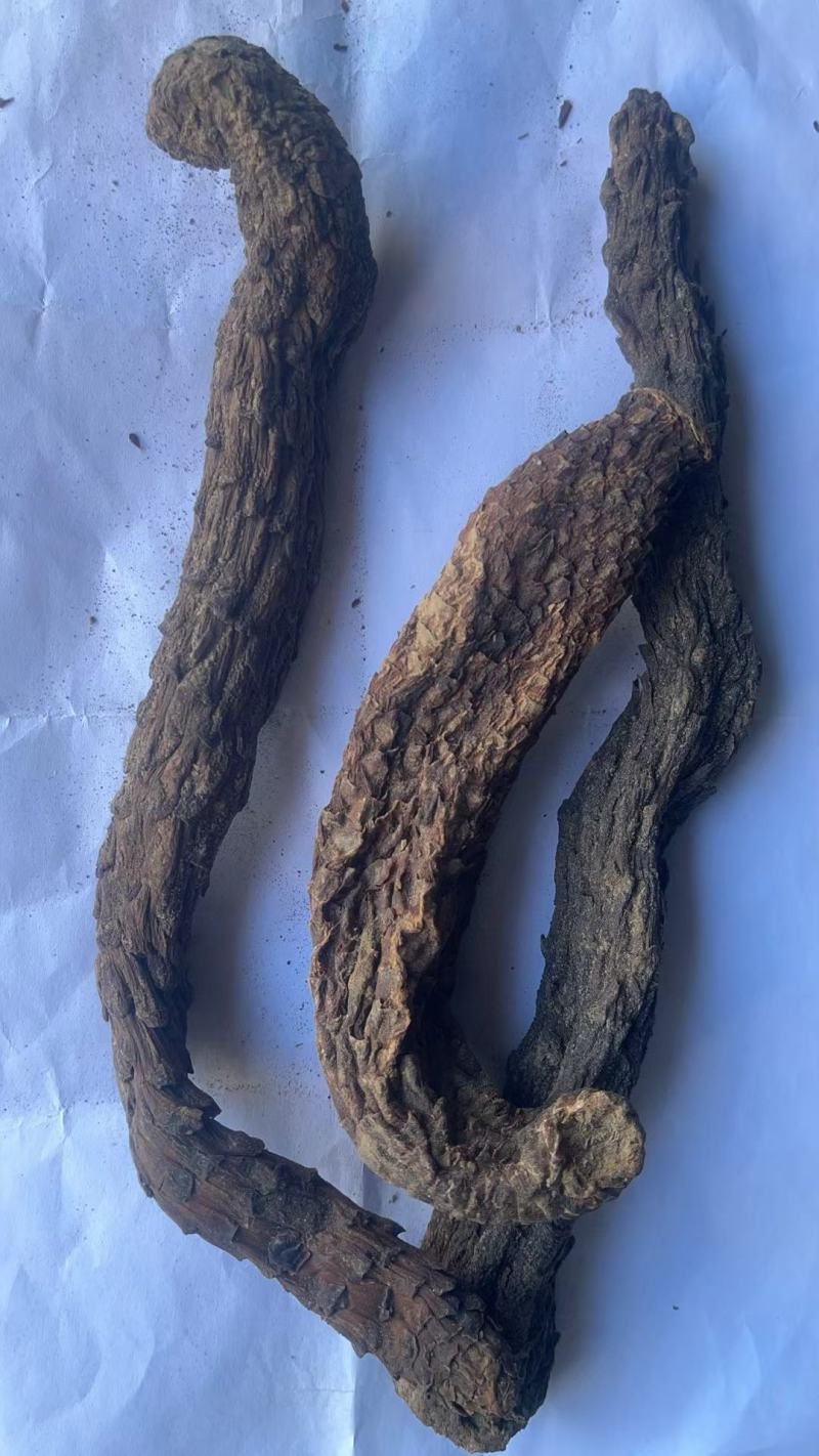 肉苁蓉整根切片新疆阿拉善泡水泡酒肉丛蓉个包邮包邮