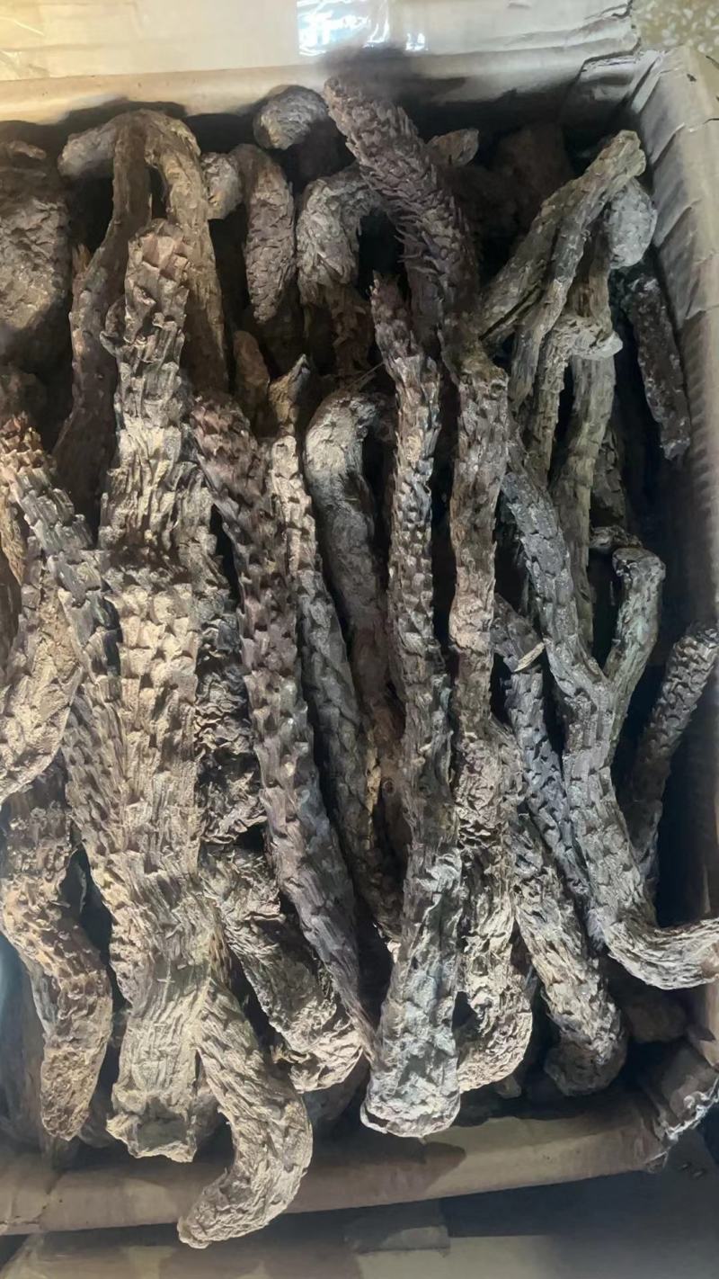 肉苁蓉整根切片新疆阿拉善泡水泡酒肉丛蓉个包邮包邮