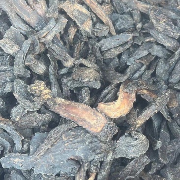 肉丛蓉内蒙大云芸管花中药材肉苁蓉批发锁阳包邮