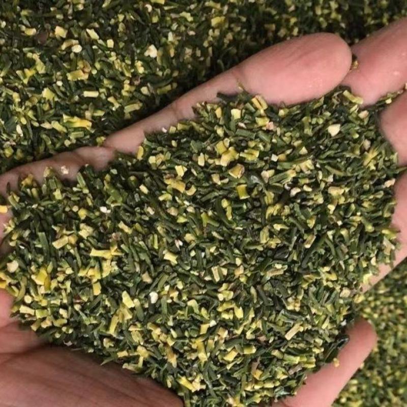 莲子心500g新鲜莲芯莲子芯正品莲芯新货干净无杂