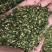 莲子心500g新鲜莲芯莲子芯正品莲芯新货干净无杂