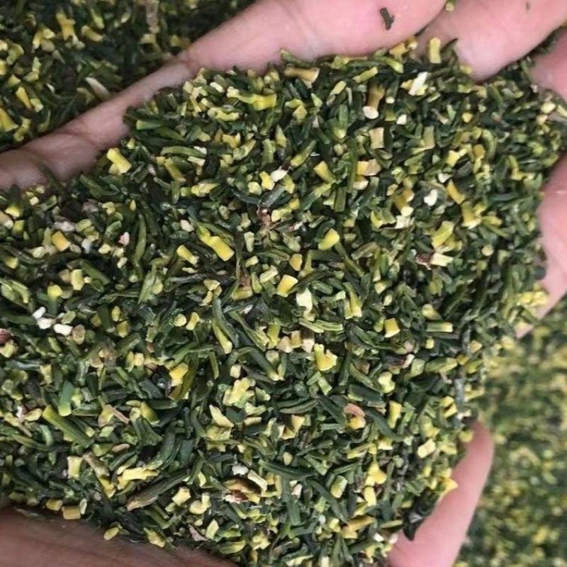 莲子心500g新鲜莲芯莲子芯正品莲芯新货干净无杂