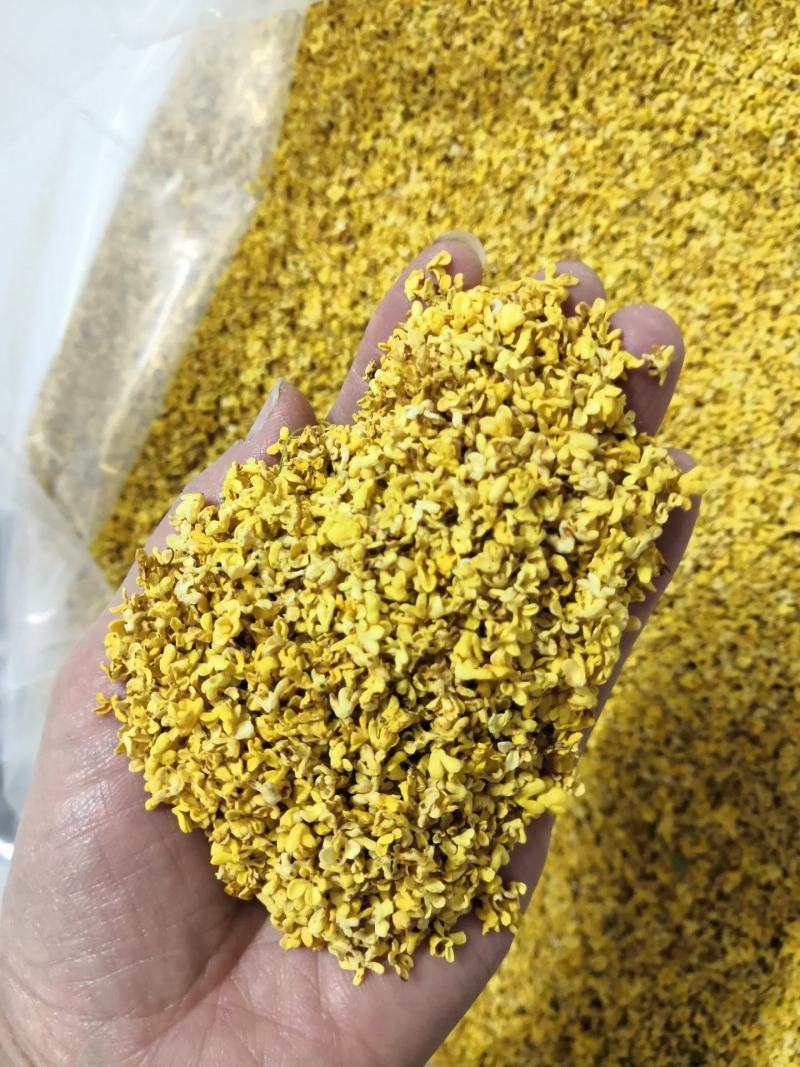【包邮】精品6A桂花干桂花批发好价厂里直销浓香型桂花批发