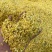 【包邮】精品6A桂花干桂花批发好价厂里直销浓香型桂花批发