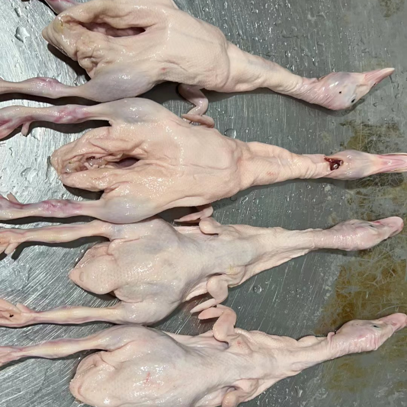 新鲜乳鸭鸭肉，货源充足，价格优惠，全国发货