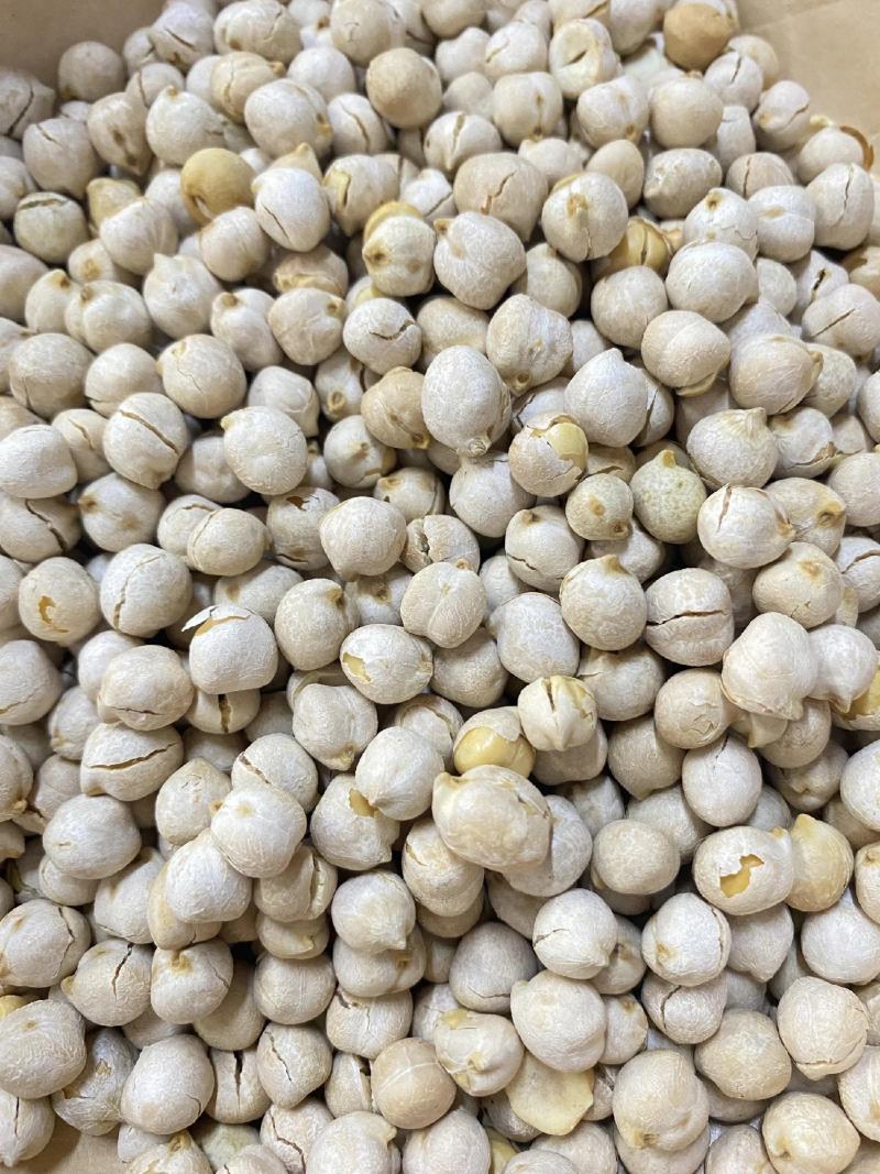 【包邮】鹰嘴豆新疆鹰嘴豆大货批发价零售可批发大货鹰嘴豆