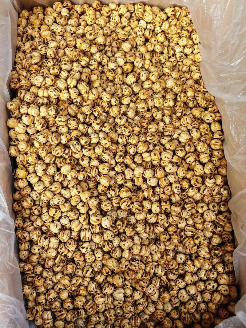 【包邮】鹰嘴豆新疆鹰嘴豆大货批发价零售可批发大货鹰嘴豆