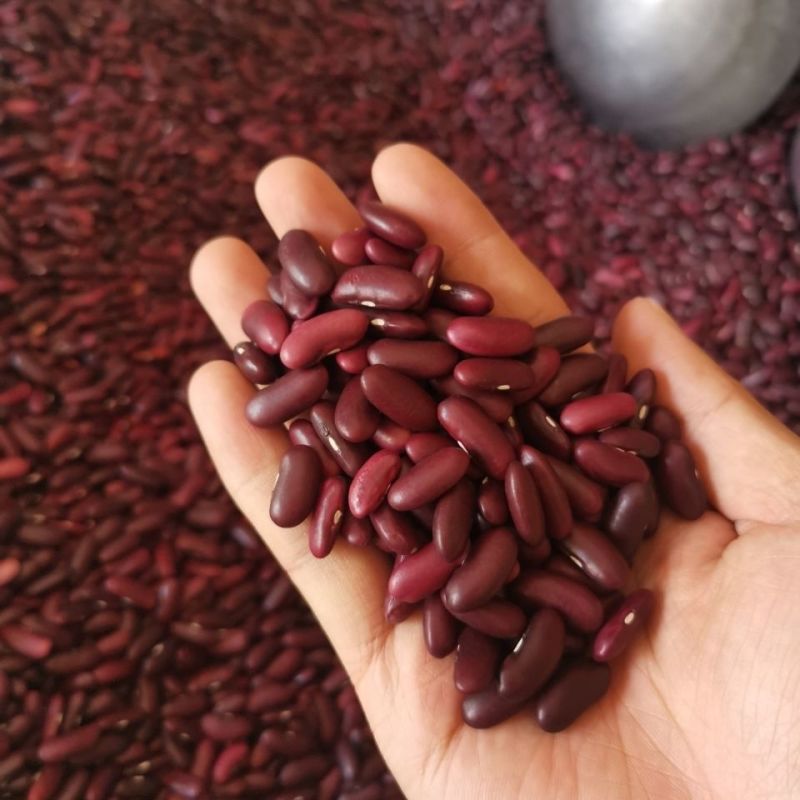 红腰豆云南农家自种红腰豆红芸豆饭豆豆馅打豆浆批发