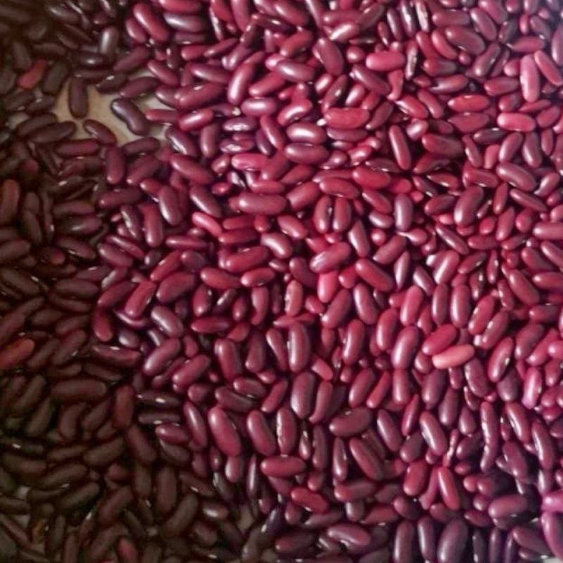 红腰豆云南农家自种红腰豆红芸豆饭豆豆馅打豆浆批发