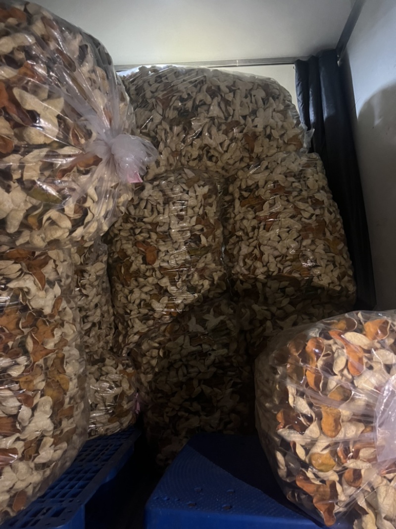 广东新会陈皮精选陈皮货量大油性好