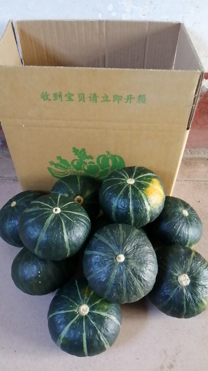 精品贝贝南瓜，地爬，吊瓜，大红，粉糯香甜