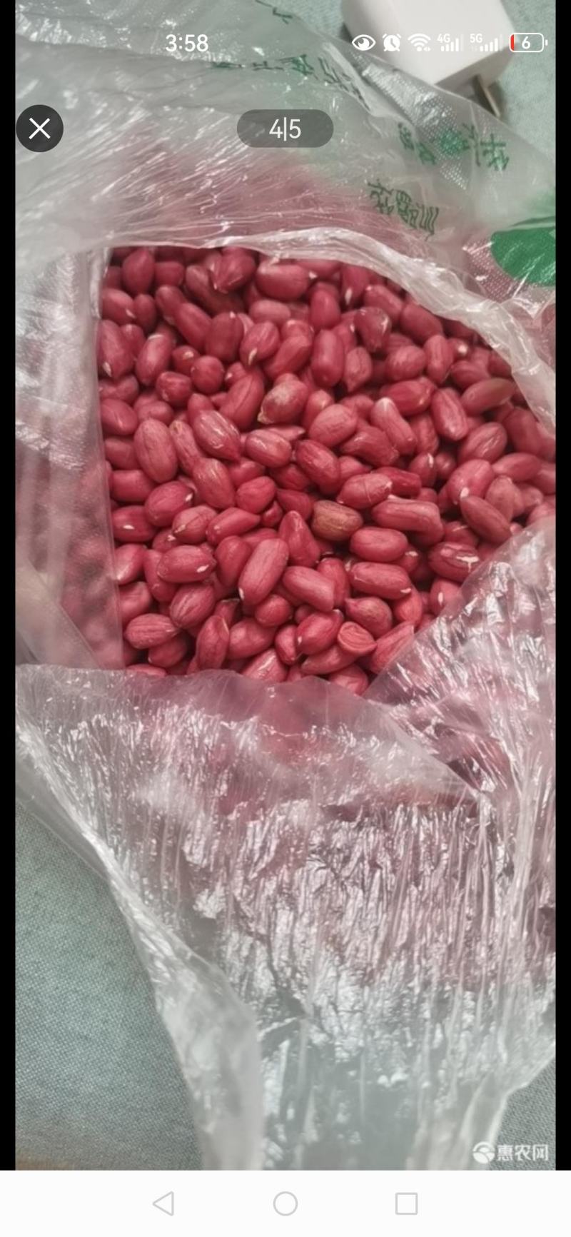 青岛甜花生种子，口感倍甜，吃了忘不了