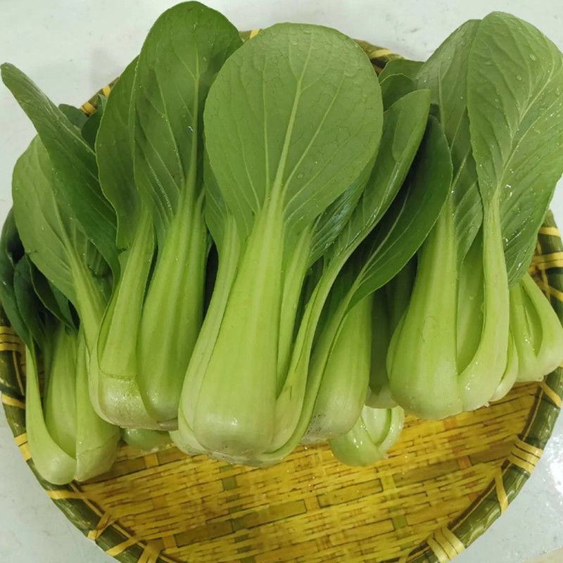 【推荐】小青菜，油菜，上海青，供应市场商超电商