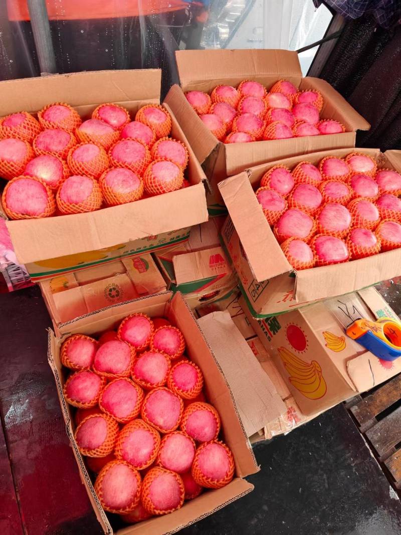 延安宜川精品套袋红富士苹果