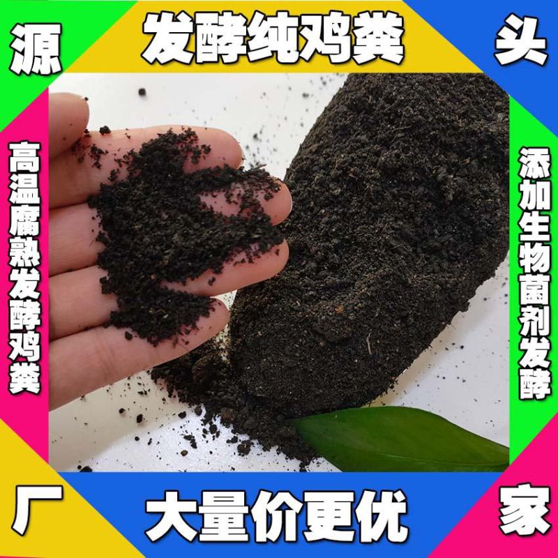 海南干鸡粪批发乐东发酵鸡粪供应陵水鸡粪有机肥怎么出售